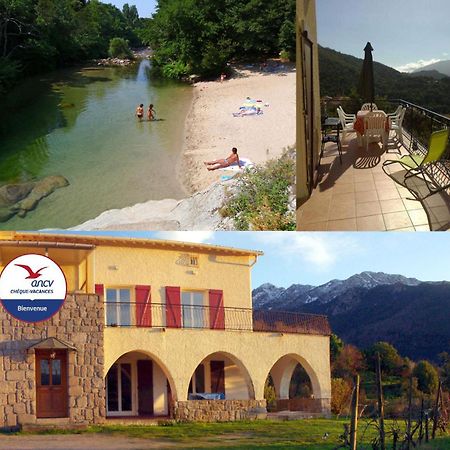 95M2 Au Calme A 25Mn Ajaccio, Plages, Linge Inclus Parking Ok Ucciani Εξωτερικό φωτογραφία