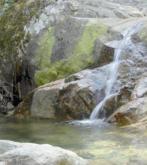 95M2 Au Calme A 25Mn Ajaccio, Plages, Linge Inclus Parking Ok Ucciani Εξωτερικό φωτογραφία