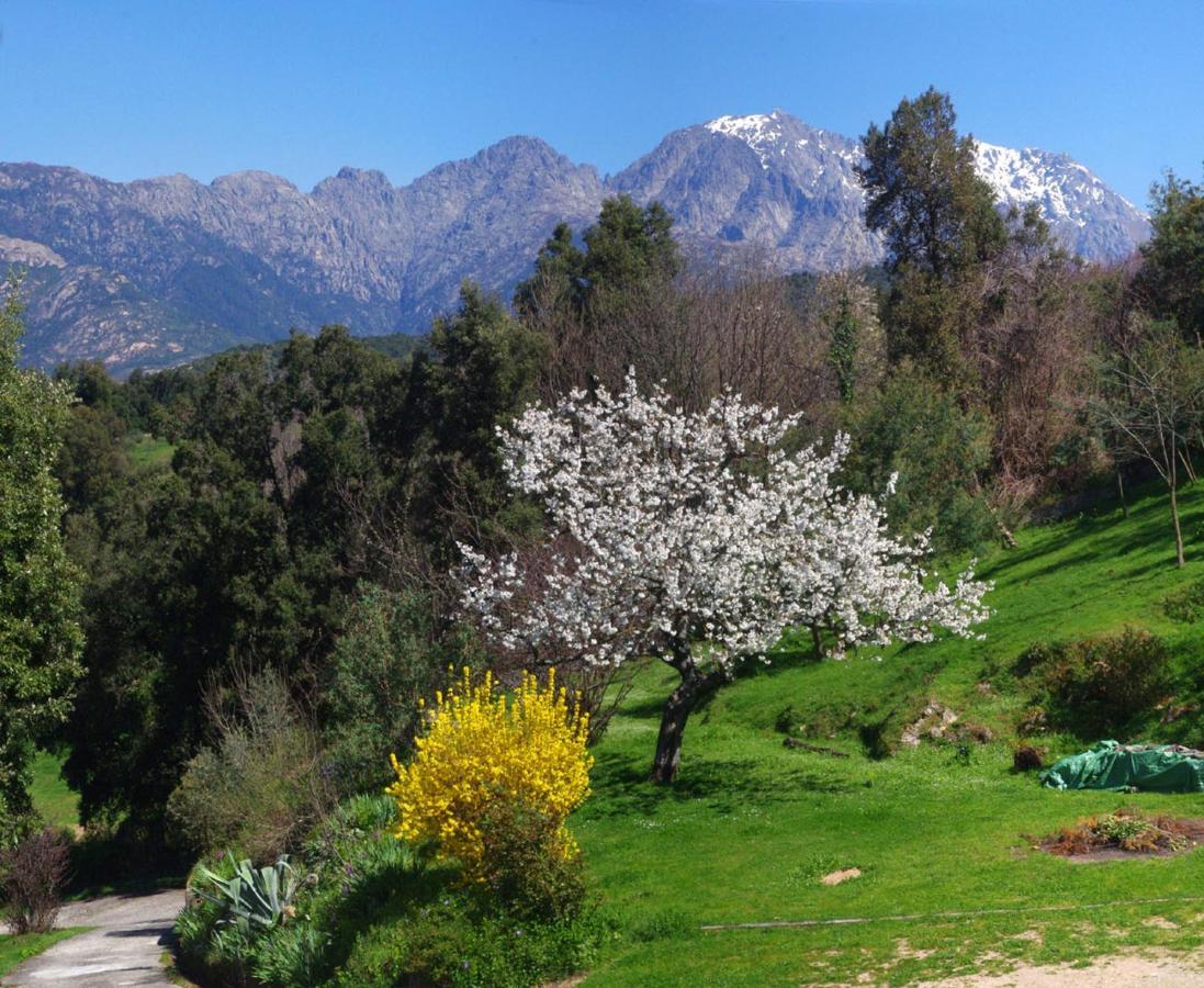 95M2 Au Calme A 25Mn Ajaccio, Plages, Linge Inclus Parking Ok Ucciani Εξωτερικό φωτογραφία