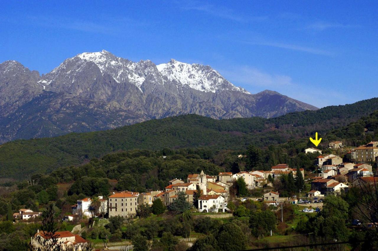 95M2 Au Calme A 25Mn Ajaccio, Plages, Linge Inclus Parking Ok Ucciani Εξωτερικό φωτογραφία