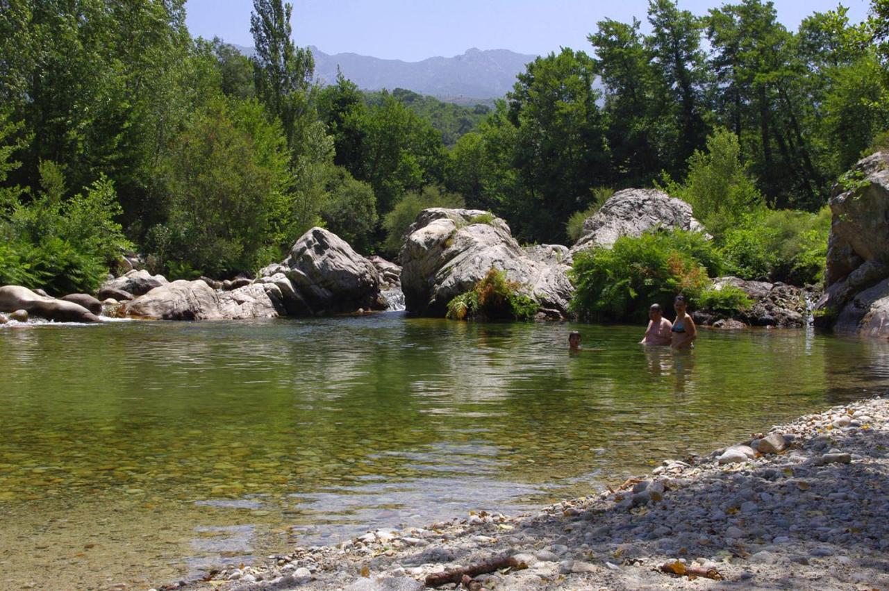 95M2 Au Calme A 25Mn Ajaccio, Plages, Linge Inclus Parking Ok Ucciani Εξωτερικό φωτογραφία