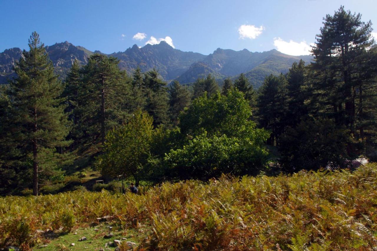 95M2 Au Calme A 25Mn Ajaccio, Plages, Linge Inclus Parking Ok Ucciani Εξωτερικό φωτογραφία