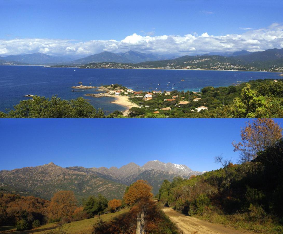 95M2 Au Calme A 25Mn Ajaccio, Plages, Linge Inclus Parking Ok Ucciani Εξωτερικό φωτογραφία