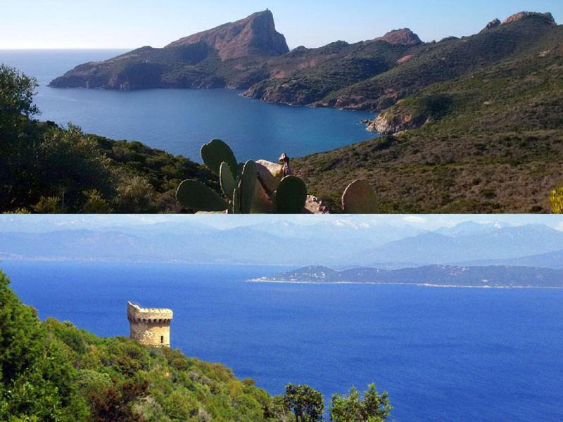 95M2 Au Calme A 25Mn Ajaccio, Plages, Linge Inclus Parking Ok Ucciani Εξωτερικό φωτογραφία